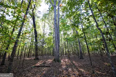 39 Acres New Haven Church Road, Danielsville, GA 30633 - Photo 52