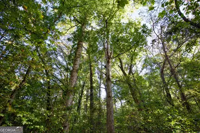 39 Acres New Haven Church Road, Danielsville, GA 30633 - Photo 48