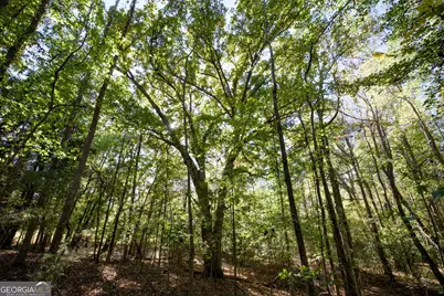 39 Acres New Haven Church Road, Danielsville, GA 30633 - Photo 64
