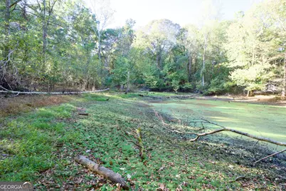 39 Acres New Haven Church Road, Danielsville, GA 30633 - Photo 74