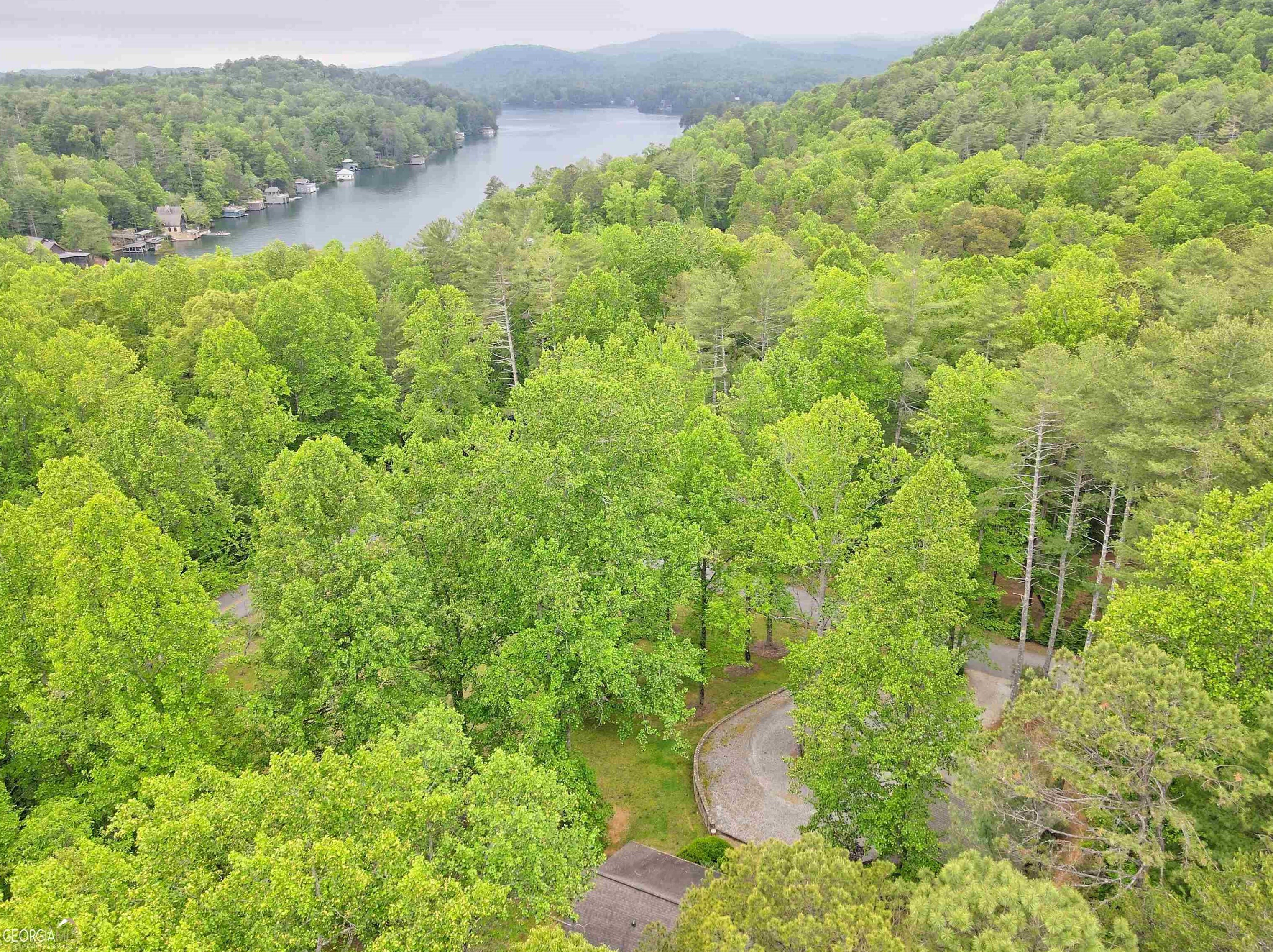 50 Parker Hollifield, Tiger, GA 30576