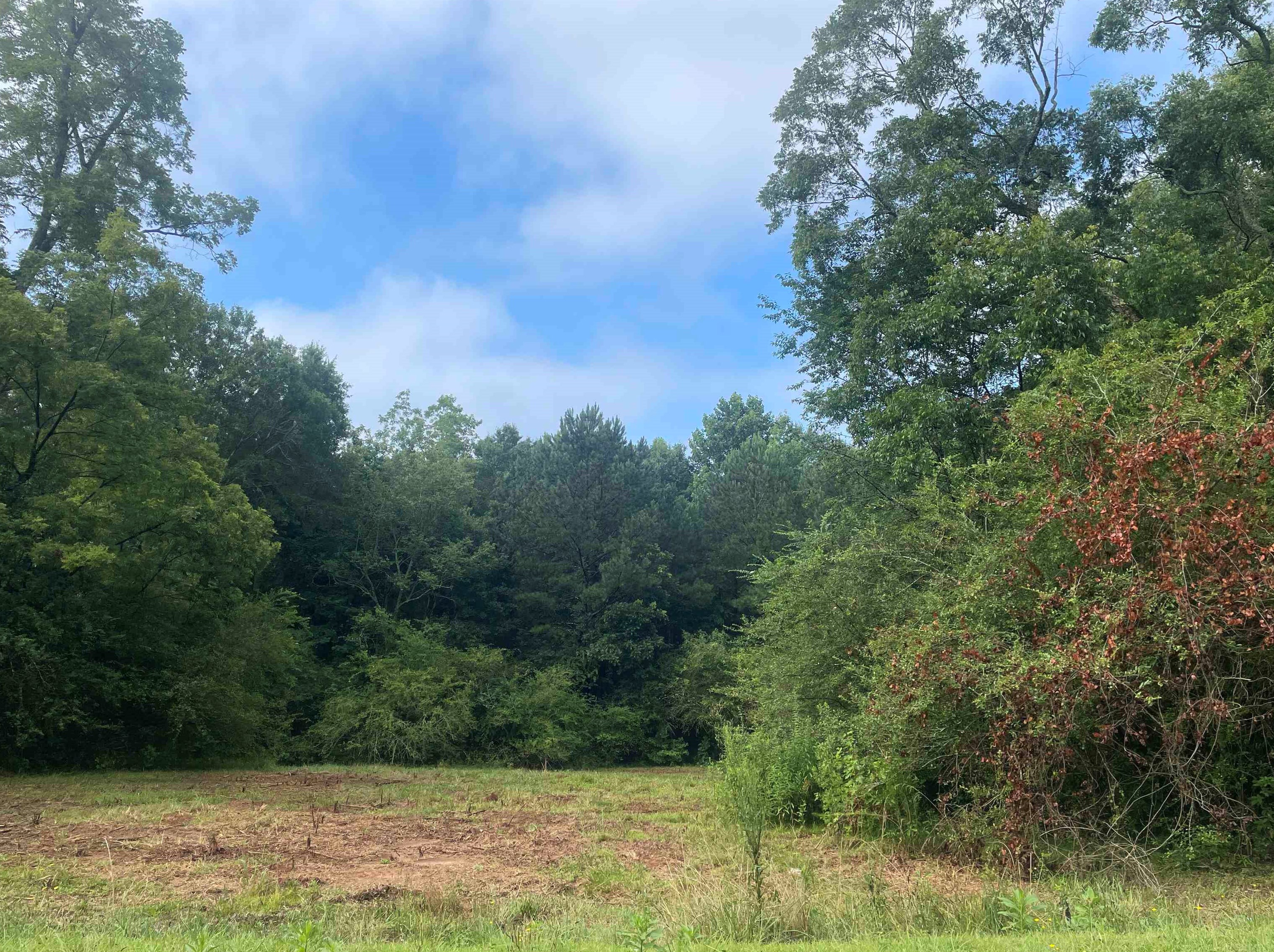 6978 Deaton Henry, Flowery Branch, GA 30542