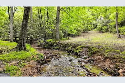 805 Quail Cove Circle, Warne, NC 28909 - Photo 6