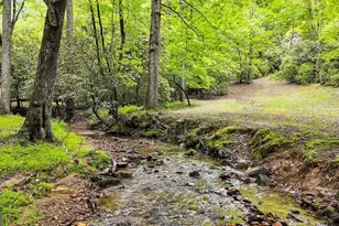 805 Quail Cove Cir, Warne, NC 28909 - Photo 6