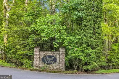 805 Quail Cove Circle, Warne, NC 28909 - Photo 52