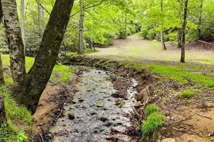 805 Quail Cove Cir, Warne, NC 28909 - Photo 2