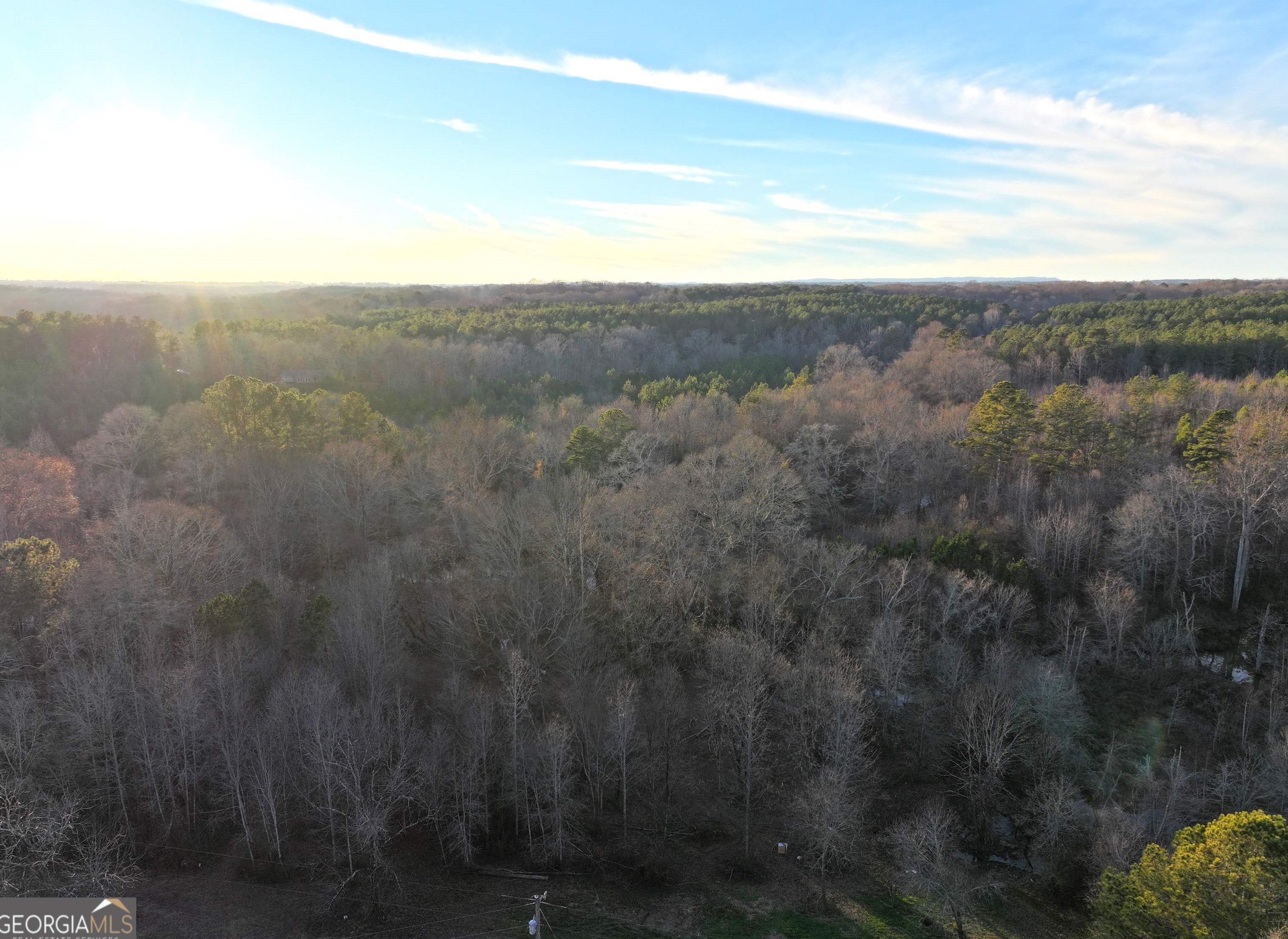 655 Reavesville Rd, Bowdon, GA 30108
