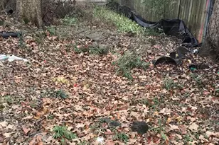 308 Bass St, Atlanta, GA 30315 - Photo 6