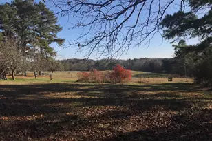 3185 Kellogg Creek Rd, Acworth, GA 30102 - Photo 12