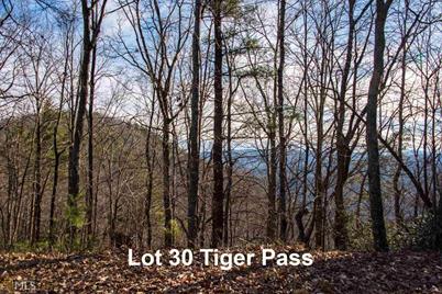 0 Tiger Pass #LOT 30 - Photo 1