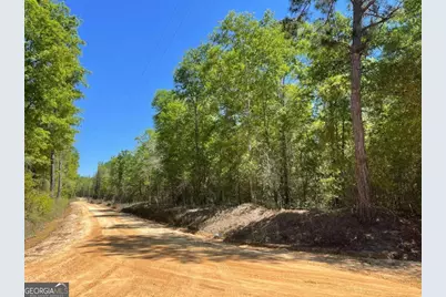 0(2B) Farmers Road, Alamo, GA 30411 - Photo 1