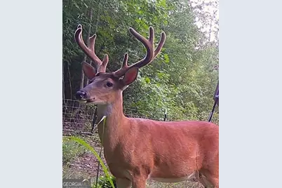 1530 Old Middleton Road, Elberton, GA 30635 - Photo 1