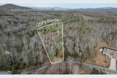 Lot 44 Sharp Top #44, Blairsville, GA 30512 - Photo 1