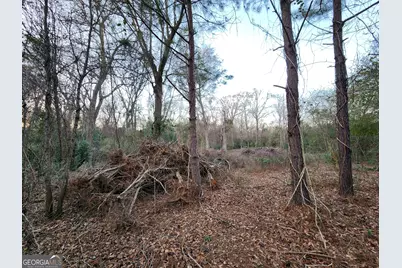 0 Burnett, Byron, GA 31008 - Photo 1
