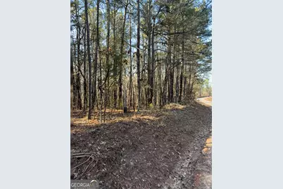 Lot 8 Beach Road, Greenville, GA 30222 - Photo 1
