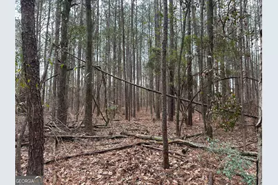 228 Pope Road #5.37 ACRES, Roberta, GA 31078 - Photo 1