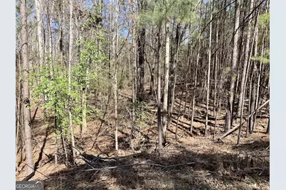 888 Melody Point, Hartwell, GA 30643 - Photo 1