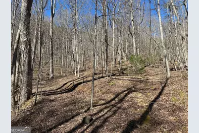 Lt 95/97 Asheland Cove #95/97, Young Harris, GA 30582 - Photo 1