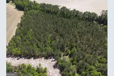 0 Clifton Road #LOT 1, Statesboro, GA 30458 - Photo 1