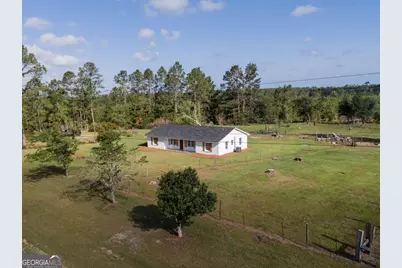 201 Braddy Road, Ailey, GA 30410 - Photo 1