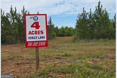 09 Marvin Murphy Road, Ellaville, GA 31806 - Photo 1