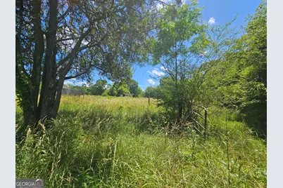 0 Ga Highway 100, Hogansville, GA 30230 - Photo 1