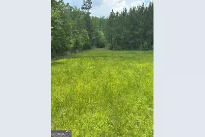 0 Jordan Road, Waverly Hall, GA 31831 - Photo 1