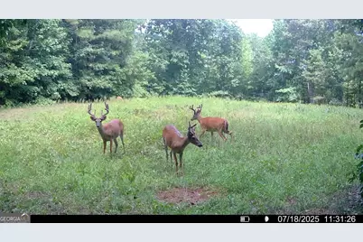 2941 Elberton Road, Carlton, GA 30627 - Photo 1