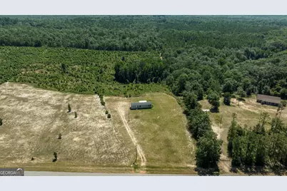 97 Mill Pond Road, Buena Vista, GA 31803 - Photo 1