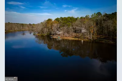 235 S Epps Road, Box Springs, GA 31801 - Photo 1