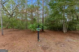 1334 Emma Ln SE, Townsend, GA 31331 - Photo 14