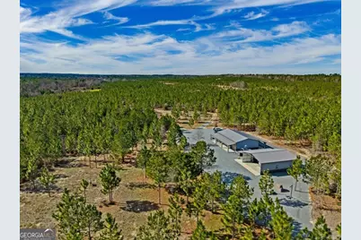 367 E Highway 127, Butler, GA 31006 - Photo 1