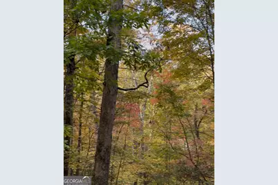 33 Eagle Ridge, Ball Ground, GA 30107 - Photo 1