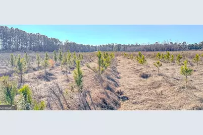 0 Highway 301 #13, Statesboro, GA 30461 - Photo 1