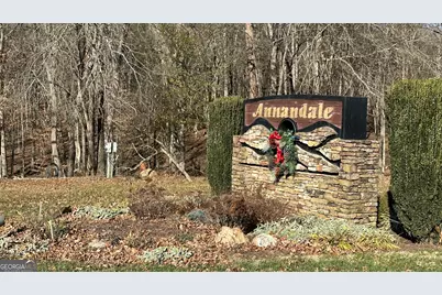 #4 Annandale Drive, Clarkesville, GA 30523 - Photo 1