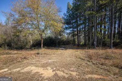 1212 Lake Collins Road, Twin City, GA 30471 - Photo 1