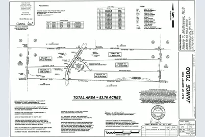 1425 Dowdy, Roopville, GA 30170 - Photo 1
