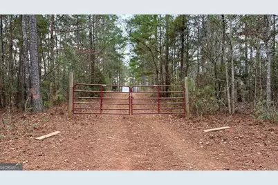 0 S Porter Road, Shiloh, GA 31826 - Photo 1