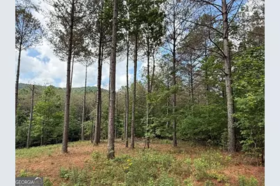 Lot 9 Eastview Trail, Ellijay, GA 30536 - Photo 1