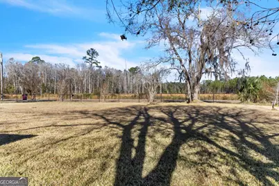 223 Hardy Johnson Road, Fargo, GA 31631 - Photo 1