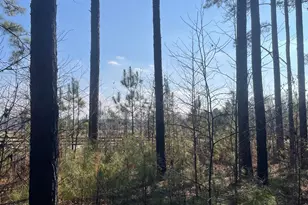 00 Hebron Church Rd, Thomaston, GA 30286 - Photo 1