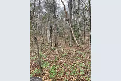 00 Hebron Church Road #1, Thomaston, GA 30286 - Photo 2