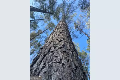 00 Hebron Church Road #1, Thomaston, GA 30286 - Photo 8