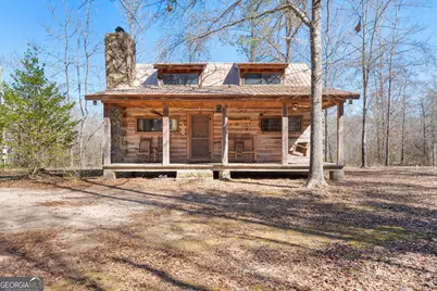 223 Eight Point Road, Butler, GA 31006 - Photo 1