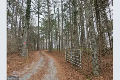 731 Seabreeze Lake Road, Buchanan, GA 30113 - Photo 1