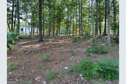 1117 Rome Beauty, Clarkesville, GA 30523 - Photo 24