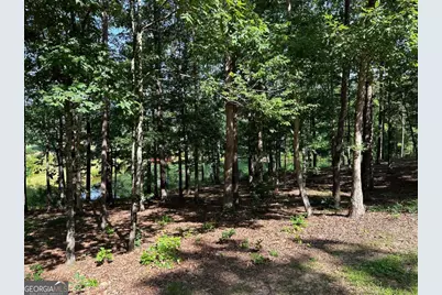 1117 Rome Beauty, Clarkesville, GA 30523 - Photo 14