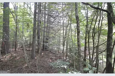 Lot 6 Baker Lane, Hiawassee, GA 30546 - Photo 1