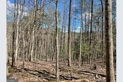 0 Gold Valley Road, Sautee Nacoochee, GA 30571 - Photo 1