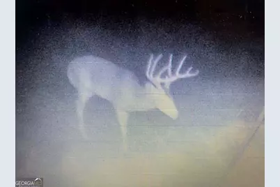 2221 Abbeville Highway, Hawkinsville, GA 31036 - Photo 1